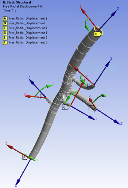 Boundary Conditions on the Abdominal Aorta Model
