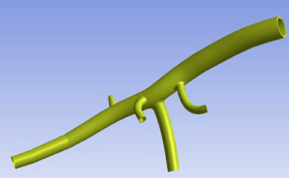 Inverse-Solving Analysis of a Cardiovascular Structure